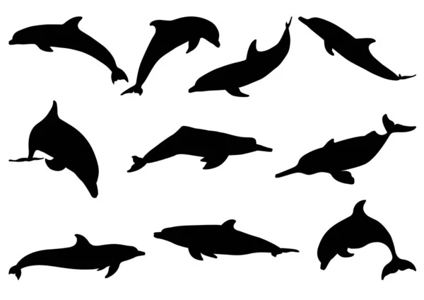 Set Dolphin Silhouettes Vector Images — Stock Vector