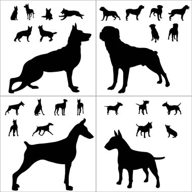 Vektör Köpekleri Silueti