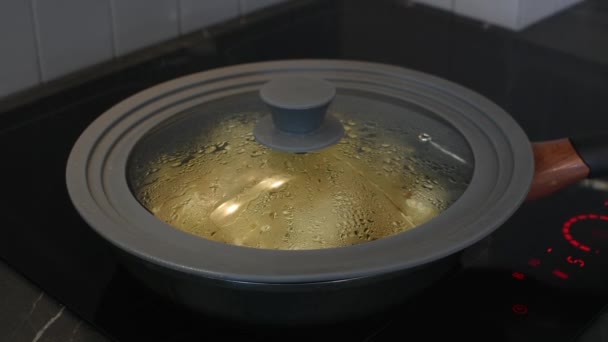 把油炸饺子放在煎锅里 热气腾腾的中餐 — 图库视频影像