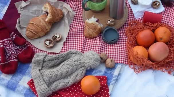 Romantyczny Piknik Zimowym Parku Kolorowy Koc Świeże Jedzenie Ser Pomarańcze — Wideo stockowe