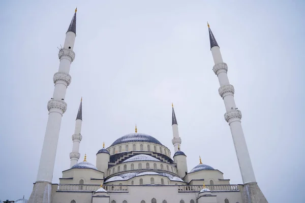 Grande Mosquée Avec Minarets Par Temps Neigeux — Photo