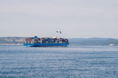 Denizdeki Kargo Konteynırları ile Kargo Gemisi
