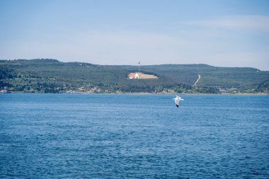 Çanakkale Gelibolu Boğazı Görünümü ve Uçan Martı
