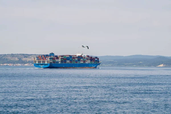 Denizdeki Kargo Konteynırları ile Kargo Gemisi