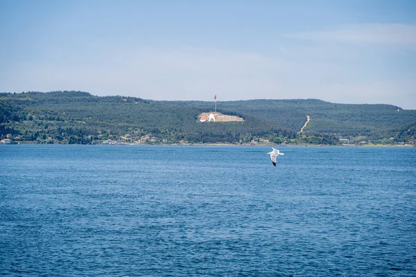 Çanakkale Gelibolu Boğazı Görünümü ve Uçan Martı