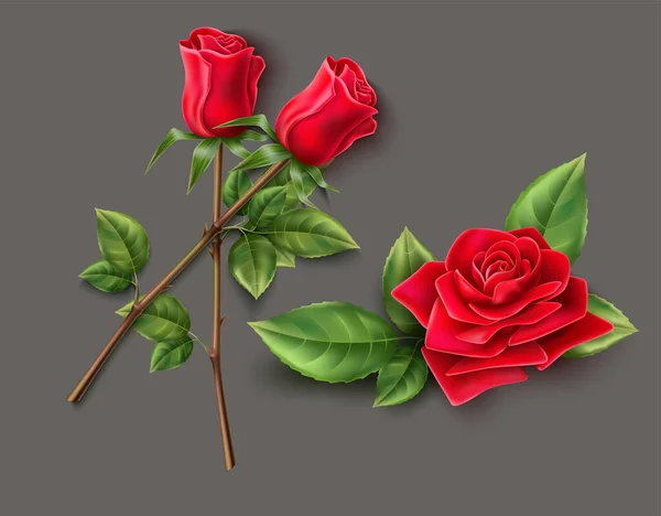Κόκκινο Τριαντάφυλλο Λουλούδι Διάνυσμα Γκρι Φόντο — Διανυσματικό Αρχείο