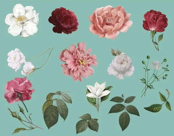 Dessins Fleurs Vintage Sur Fond Millésimes — Image vectorielle