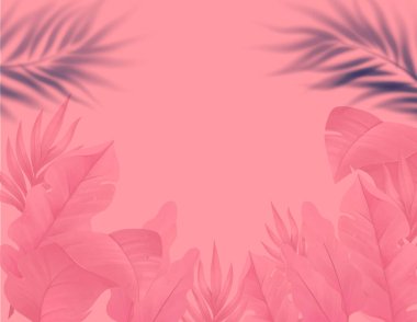 Pink top tropical background with palm leaves
