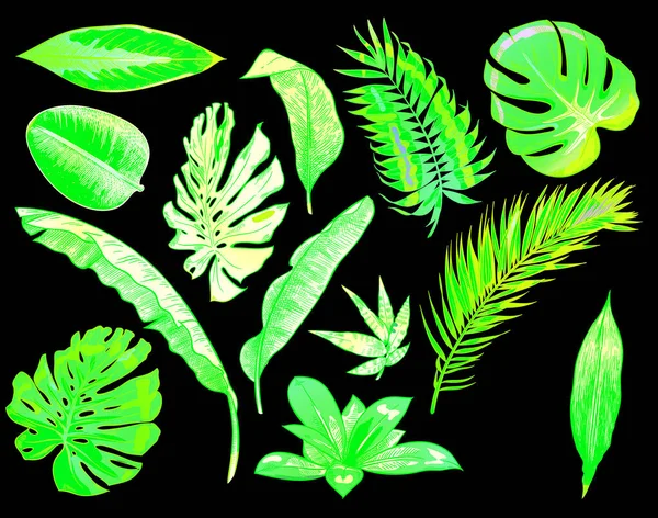 Green Neon Tropical Leaves Color Exotic Tree Plant Leaf — Stockvektor