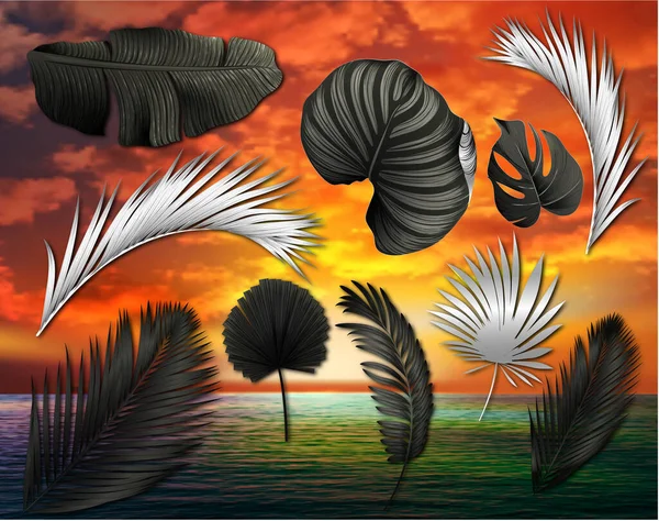 Set Dark Silver Leaves Tropical Exotic Plants — Stockvektor