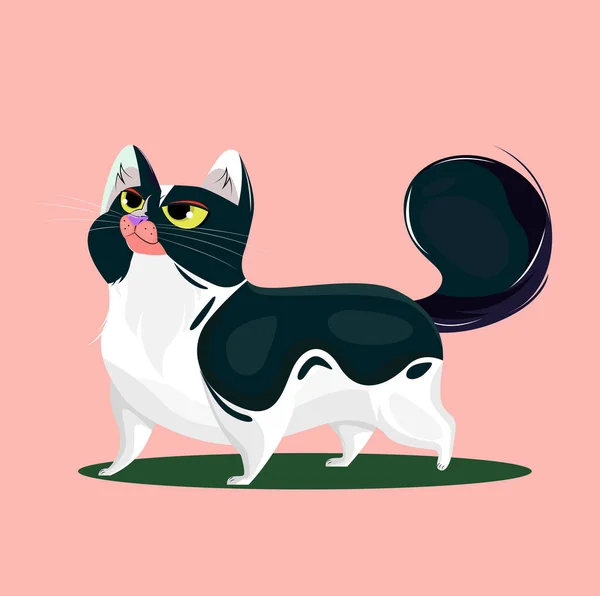 Cartoon Katze Auf Rosa Hintergrund — Stockvektor