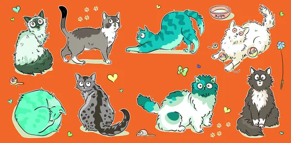 Vector Raça Gatos Diferentes Poses — Vetor de Stock