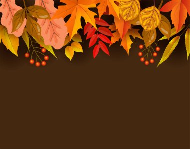 Sonbahar arka plan vektör tasarımı