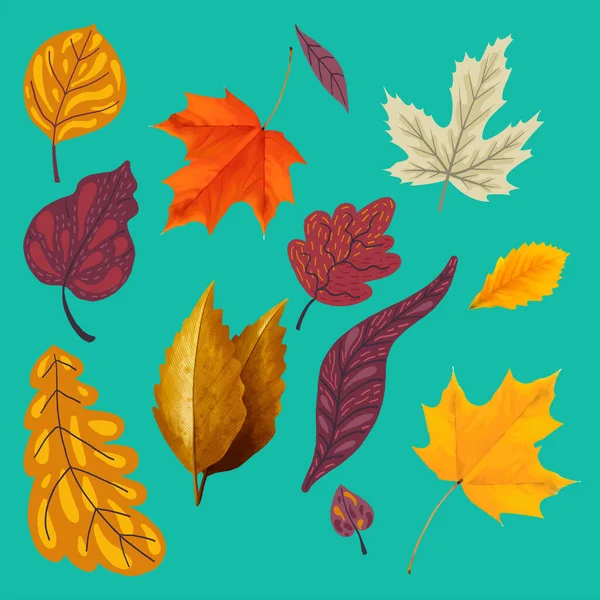 Sammlung Verschiedener Herbstblätter — Stockvektor
