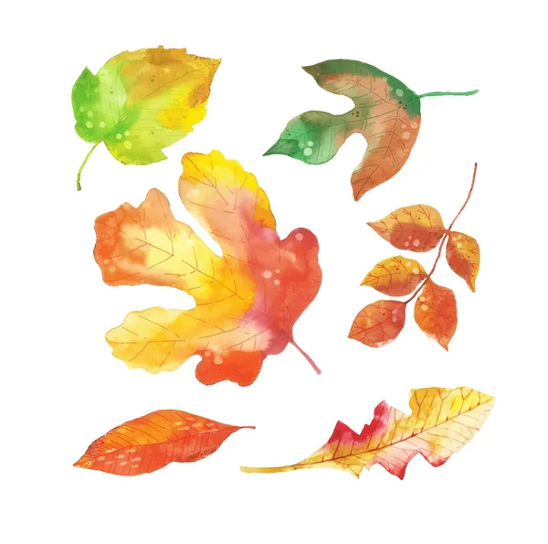 Watercolor Autumn Leaves Collection — Stock Vector