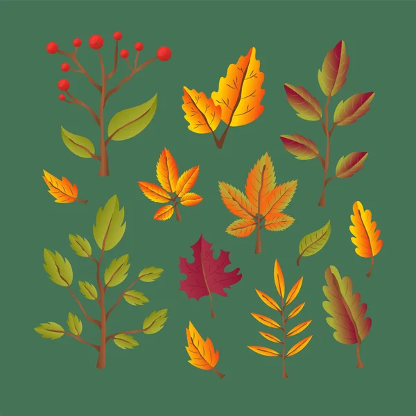 Yellow Autumnal Garden Leaf Red Fall Leaf Fallen Dry Leaves — Stock Vector