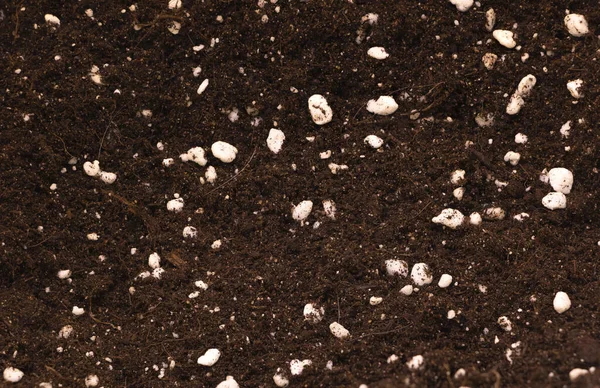 Potting soil mixed with perlite good for indoor plants concept — Foto de Stock