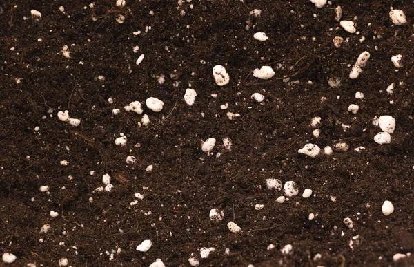 Potting soil mixed with perlite good for indoor plants concept — Foto de Stock