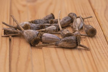 Ahşap arka planda haşhaş tohumlarının yakın plan çekimi - haşhaş tohumları kavramı.