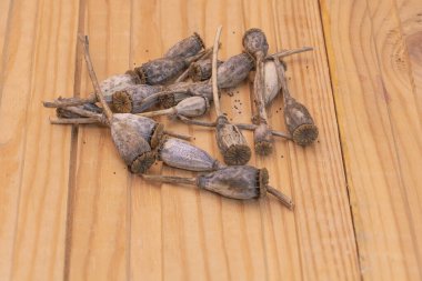 Ahşap arka planda haşhaş tohumlarının yakın plan çekimi - haşhaş tohumları kavramı.