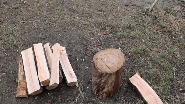 Close Shot Van Een Arbeider Splijten Hout Met Een Bijl — Stockvideo