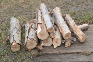 Doğranmış odun yığınına yakın çekim.