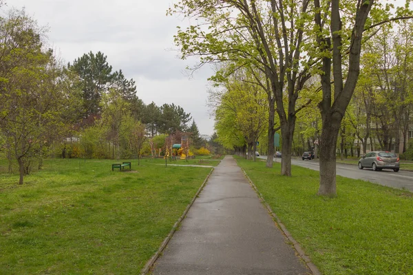 Chisinau, Moldova - 20 Nisan 2022 Baharda yolun yanında güzel bir park