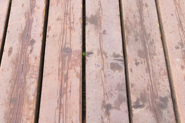 Ahşap bir kalasın yakın çekim görüntüsü..