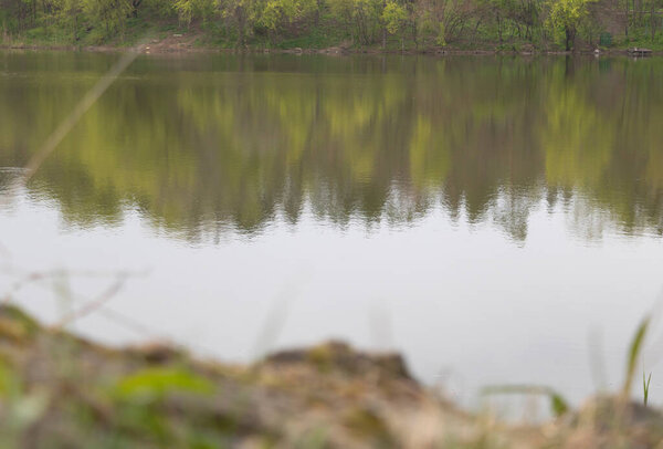 Close up shot of a pond with clear water which reflects the trees.