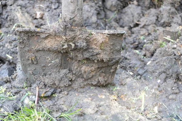 Primer Plano Una Pala Cargada Barro Jardín —  Fotos de Stock