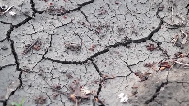 Earth Cracked Due Drought Concept Climate Change — Stockvideo