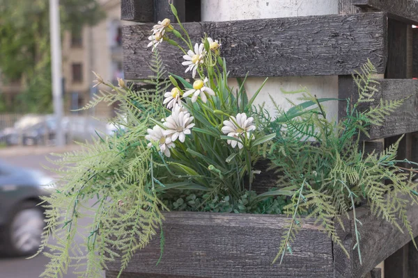 Some Flowers Planted Wooden Containers Placed Next Road Street Decoration — Stok fotoğraf