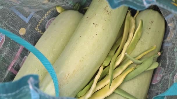 Zucchinis Green Beans Bag Bunch Ripe Zucchinis Green Beans Placed — Stockvideo