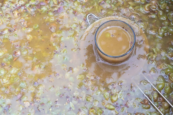 Frische Weißweinfermentation Gange Ein Glas Weinsaft Zur Verkostung Weinkonzept Erstellen — Stockfoto