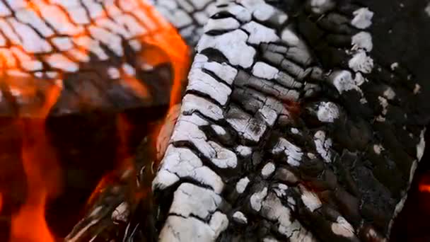 Крупним Планом Палаючі Березові Дрова Полум Тлі Гарячого Вугілля Повільний — стокове відео