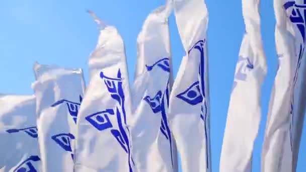 巴瑙尔 俄国五月二十日2021年 体育旗帜在风中飘扬 赛艇和皮划艇比赛在巴瑙尔市赛艇运河上的象征 视频4K — 图库视频影像