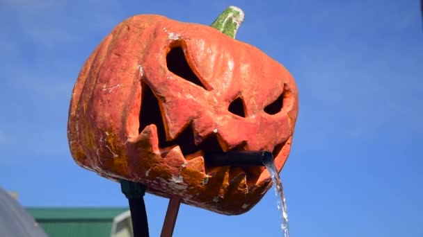 Vizet Önteni Egy Tökből Halloweenkor Szennyezett Mérgezett Víz Fogalma — Stock videók