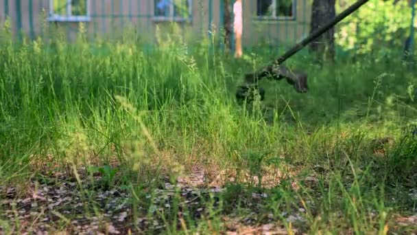 Arka Bahçede Çim Biçme Makinesi Çim Biçme Makinesiyle Çim Biçme — Stok video