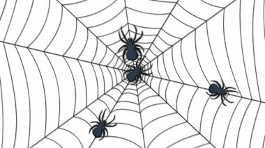 Örümcekler beyaz arka planda ağa tırmanıyorlar. Animasyon 4K video. Korkunç bir geçmiş, Cadılar Bayramı.