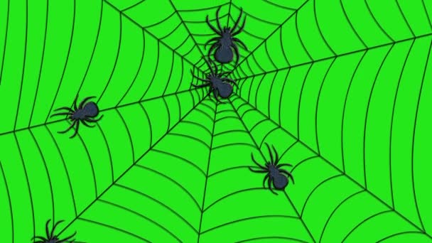 Spiders Climbing Net Green Background Animated Video Scary Background Halloween — Stock Video