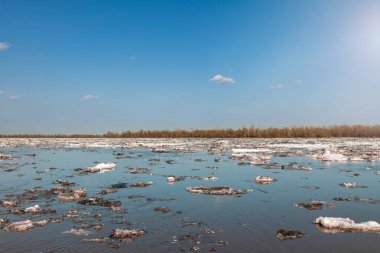 Altai Bölgesi 'ndeki Ob Nehri' nde buz akıntısı. Bahar manzarası