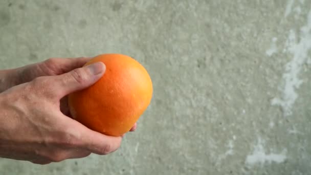Fruta Toranja Mãos Masculinas Lavado Frutas Frescas Fundo Parede Concreto — Vídeo de Stock