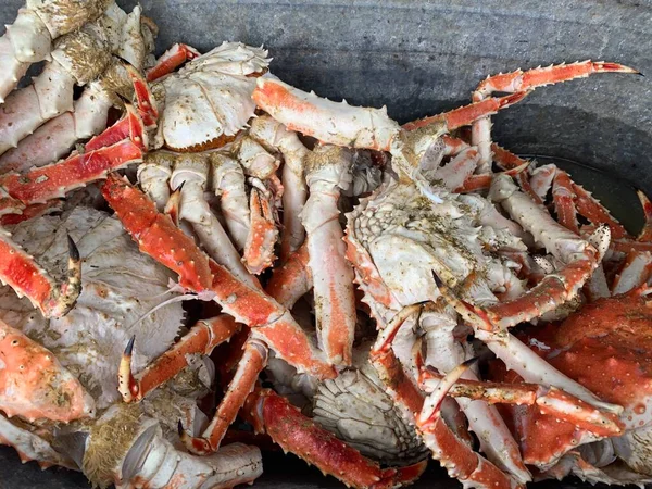 Krabben Unter Feldbedingungen Gekocht Sachalinkrabbe Tentakel Und Ihre Teile Großaufnahme — Stockfoto