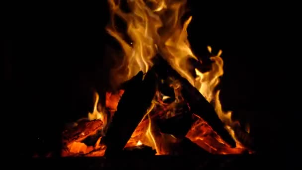 Realistic Effect Isolated Fire Black Background Concept Particles Sparkles Flame — Stockvideo