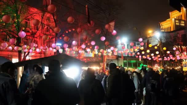 Febbraio 2022 Ucraina Dnipro Street Stilizzato Celebrazione Del Capodanno Cinese — Video Stock