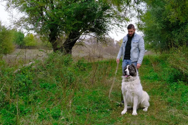 A man walks a sheepdog. a large dog breed alabai or kagal, a walk near the water in the forest. The color of the fur is black and white. Spring walk and dog training. Central asian shepherd dog.