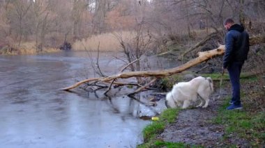 Bir adam çoban köpeğini gezdirir. Büyük bir köpek alabai ya da kagal yetiştirir. Ormanda suyun yakınında bir yürüyüş. Kürkün rengi siyah ve beyazdır. Bahar yürüyüşü ve köpek eğitimi. Orta Asya çoban köpeği. 