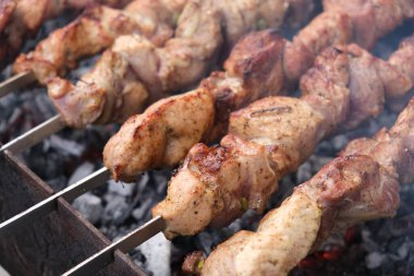 Bir adam ateşte et pişirir. Eller ve barbekü yakın çekim. Domuz budu ızgara. Kızarmış havuç. Yağlı yiyecekler, BDT ülkelerinin şenlikli yemekleri. 1 Mayıs, çalışma günü. Vejetaryen olmayan yemekler. Sokak yemeği.