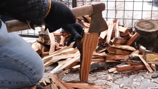 Hombre Adulto Corta Troncos Árboles Tablas Pequeñas Preparando Leña Para — Vídeo de stock