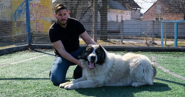 Atletik Bir Adam Büyük Bir Köpeği Ağızlık Takmadan Gezdirir Beyaz — Stok fotoğraf